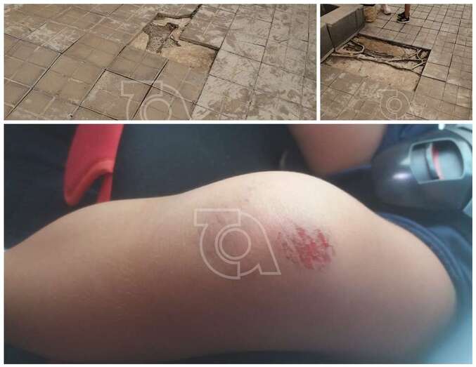 Las losetas están levantadas a consecuencia de las raíces de los árboles (Foto TA)